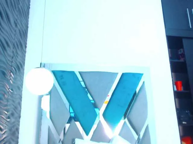 Victoria-Coleman Image 18