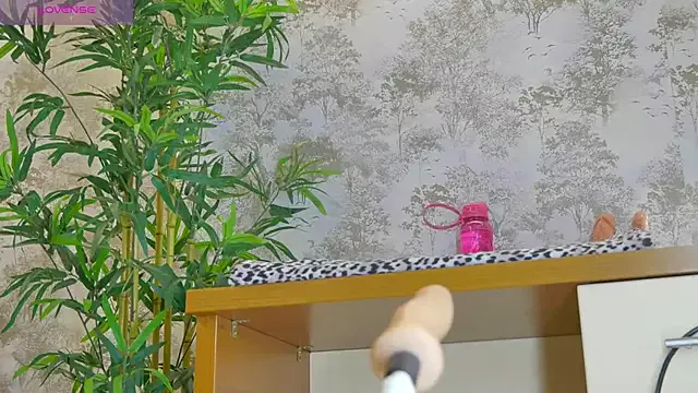 YourBurnWish Image 3